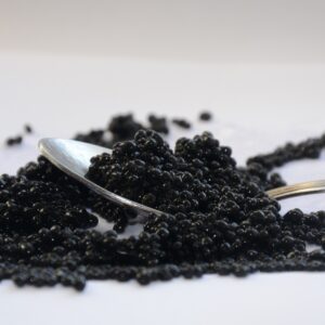 black caviar, caviar, cup-2315835.jpg